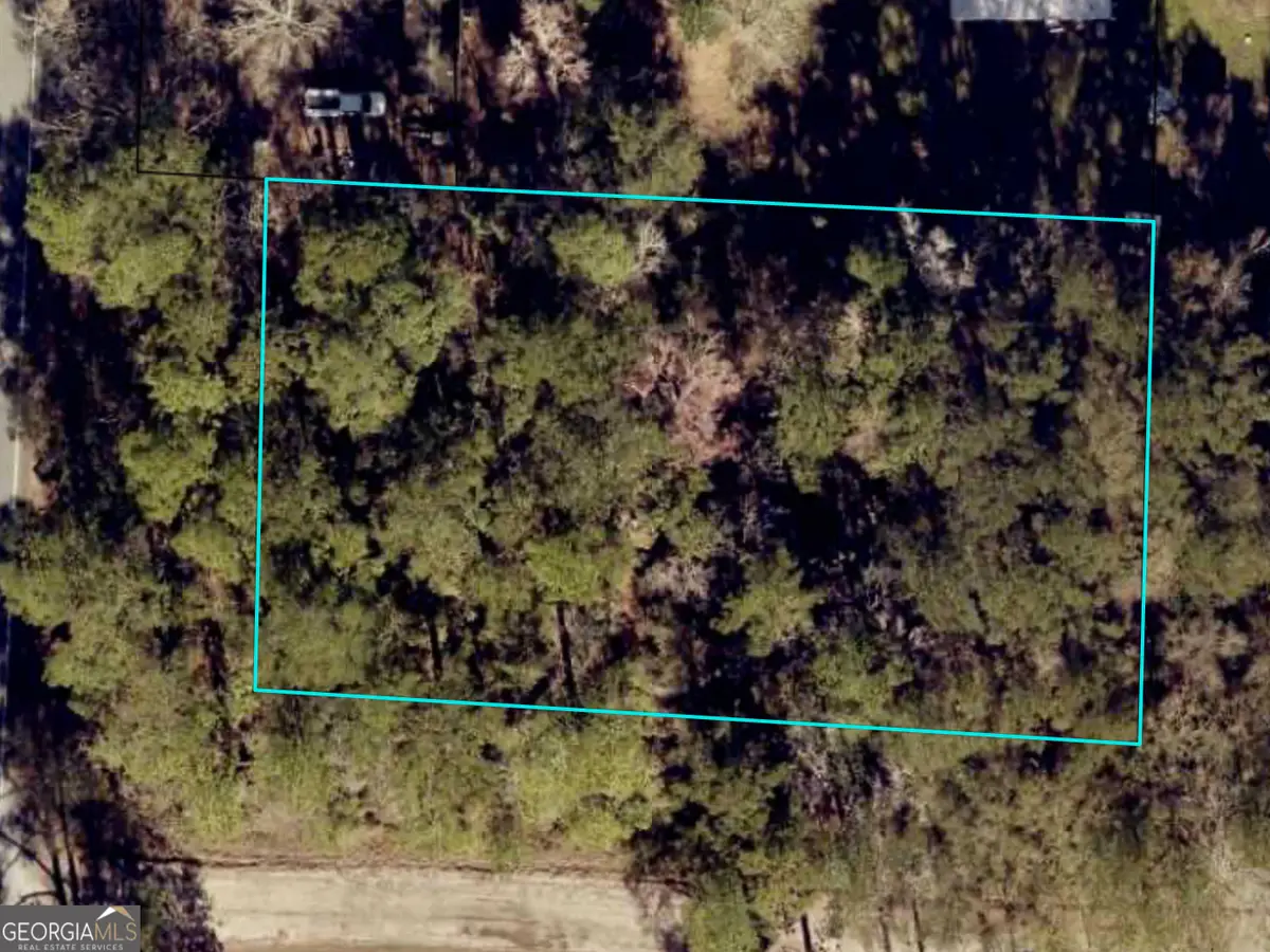 0 Us Highway 17, Waverly, GA 31565 - Image #1