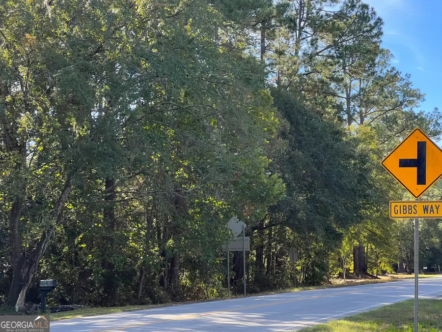 0 Us Highway 17, Waverly, GA 31565 - Image #3