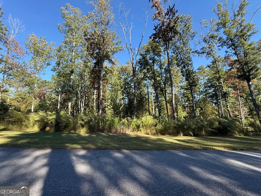 83 Leisure Mtn Trail, Sautee Nacoochee, GA 30571 - Image #3