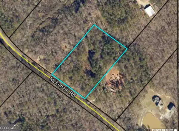 319 Mckenzie Road, Milner, GA 30257