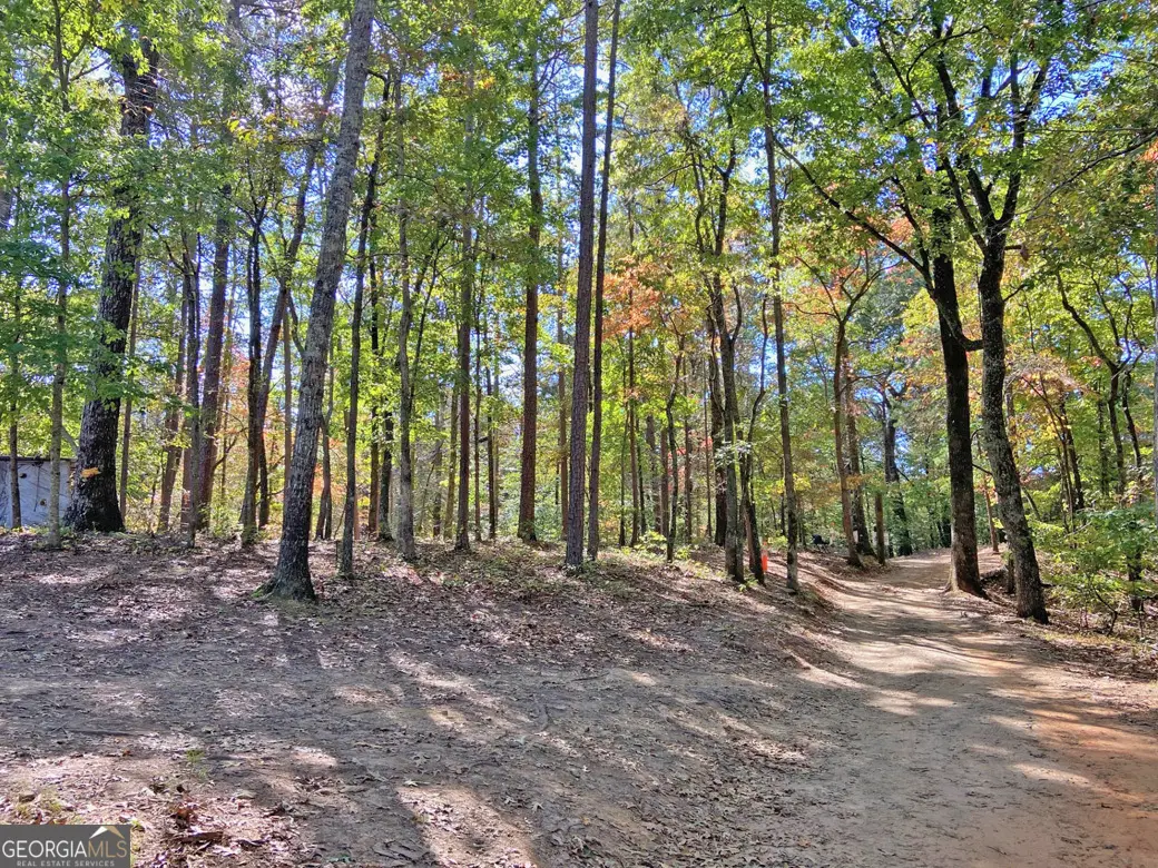 962 Winters Mountain Road, Dahlonega, GA 30533 - Image #1