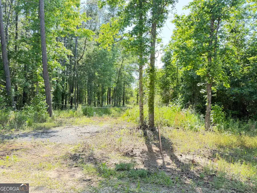 0 Perkins Road, Barnesville, GA 30204 - Image #3