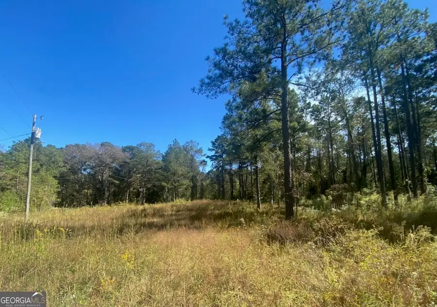 836 Rowland Road, Fort Valley, GA 31030 - Image #2