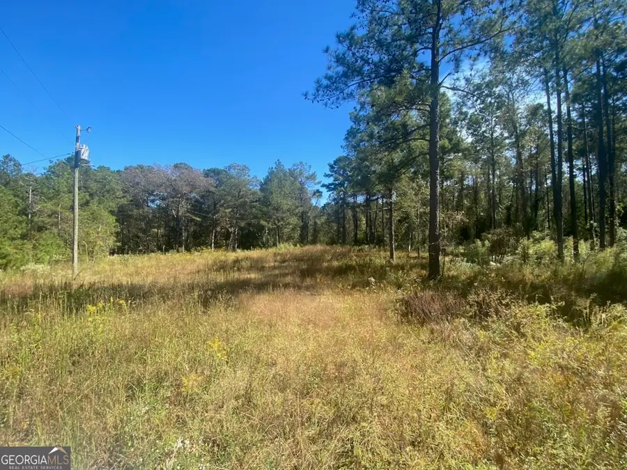 836 Rowland Road, Fort Valley, GA 31030 - Image #3