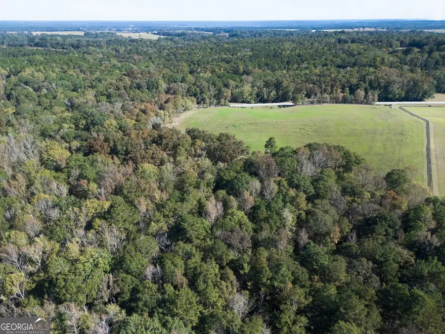 0 Ga Highway 142 #B-1 (S-1), Shady Dale, GA 31085 - Image #2