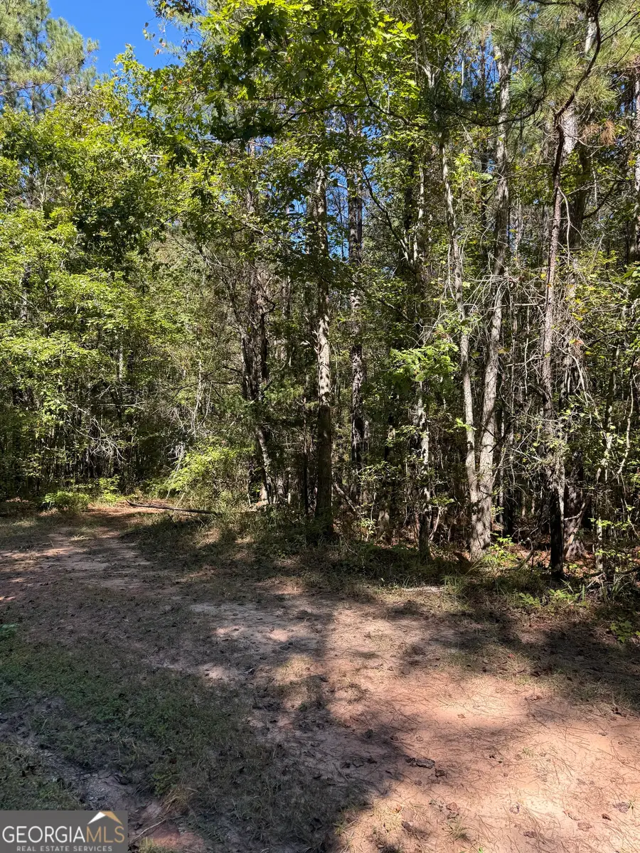 183 Deer Lane, Forsyth, GA 31029 - Image #2