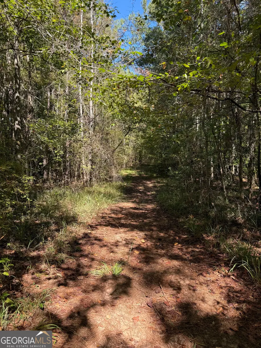 183 Deer Lane, Forsyth, GA 31029 - Image #3