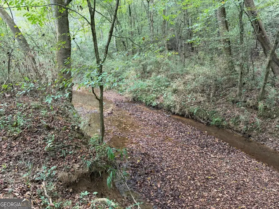 0 County Road 60, Heflin, AL 36264 - #3