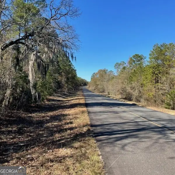 LOT A Pineville Road #100+/- ACRES, Buena Vista, GA 31803