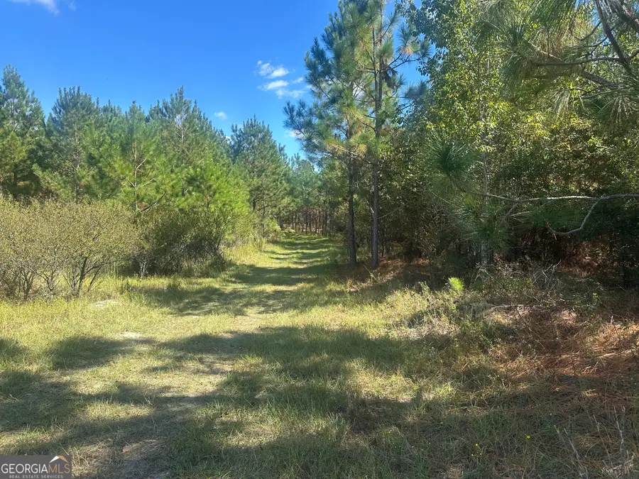 0 Tram Road, Sylvania, GA 30467 - Image #2