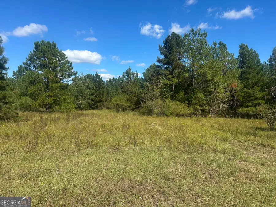 0 Tram Road, Sylvania, GA 30467 - Image #3