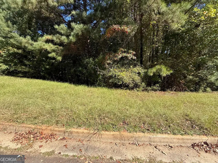1333 Nickel Oak Bend, McDonough, GA 30252 - Image #2