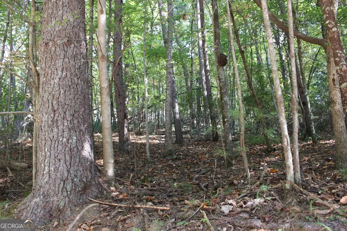 LOT 546 Satsuma North Court, Ellijay, GA 30540 - Image #1