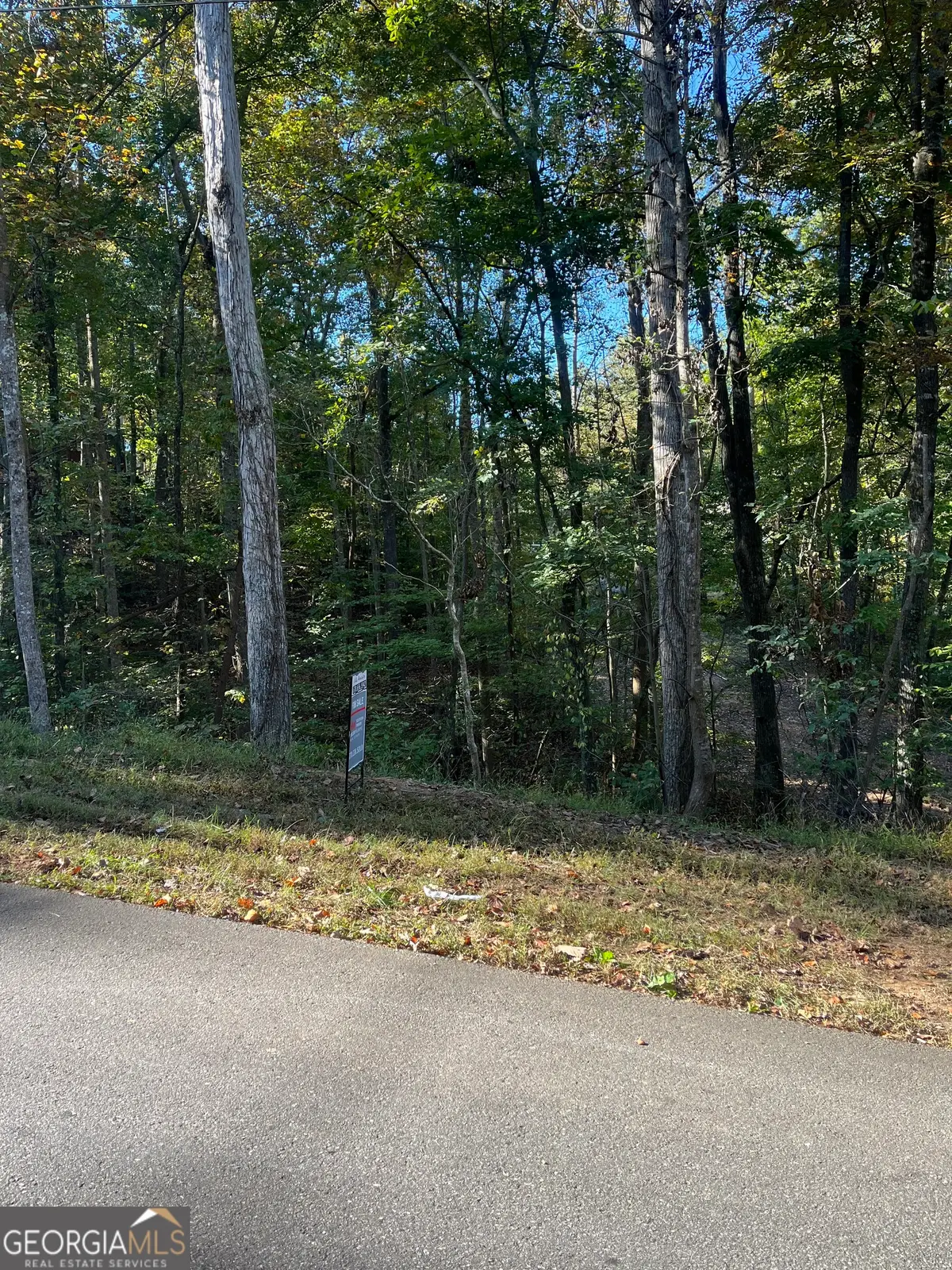 0 Quail Mountain, Gainesville, GA 30506 - Image #1