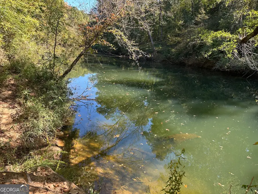 401 Towaliga Trail, Forsyth, GA 31029 - Image #2