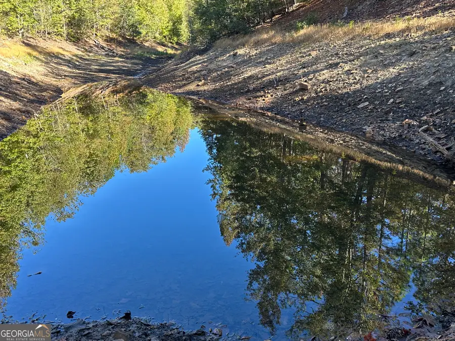 0 Hamp Smith Road, Thomaston, GA 30286 - Image #2