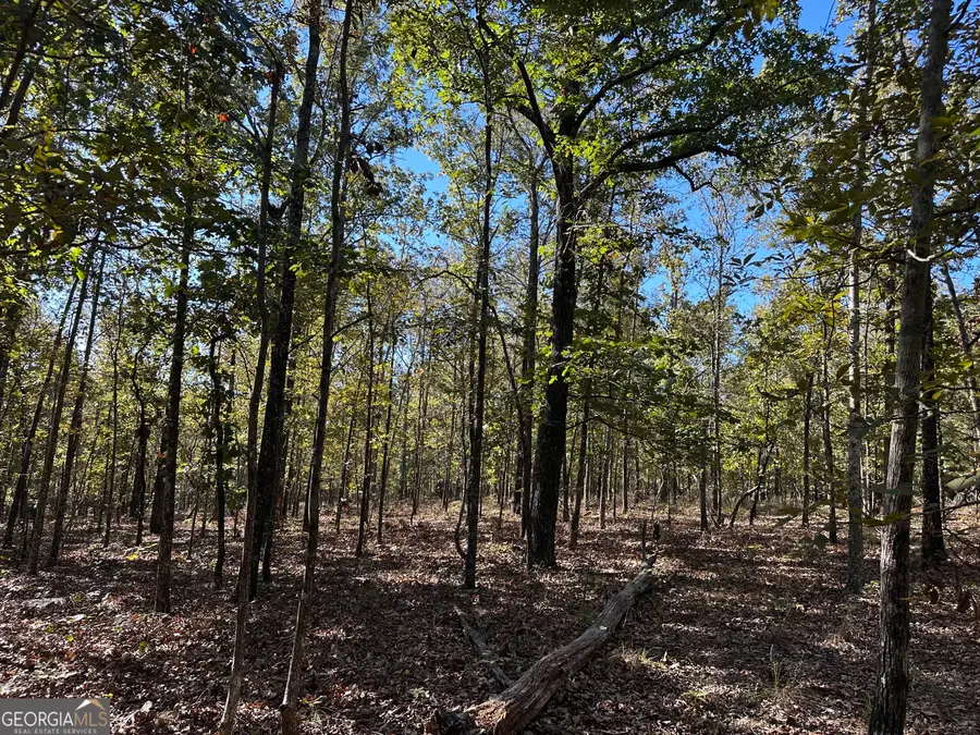 0 Hamp Smith Road, Thomaston, GA 30286 - Image #3