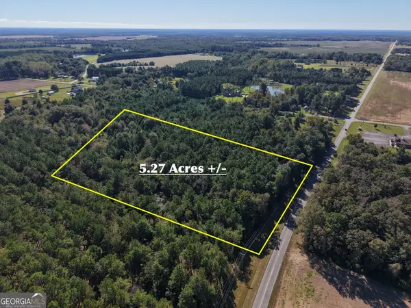 LOT C-17 Elko Road, Elko, GA 31025