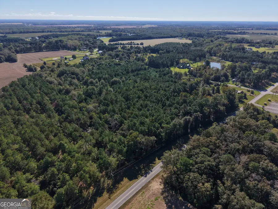 LOT C-17 Elko Road, Elko, GA 31025 - Image #2