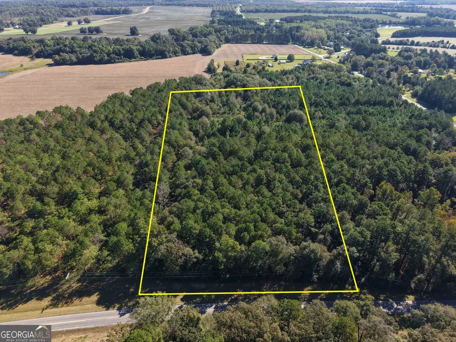 LOT C-17 Elko Road, Elko, GA 31025 - Image #3