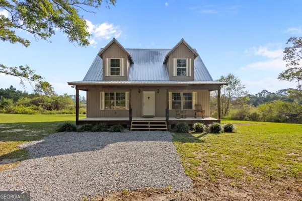 468 Lake Lannell Road, Odum, GA 31555