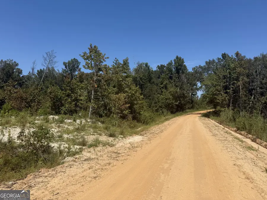 467 Alton Stewart, East Dublin, GA 31027 - Image #2