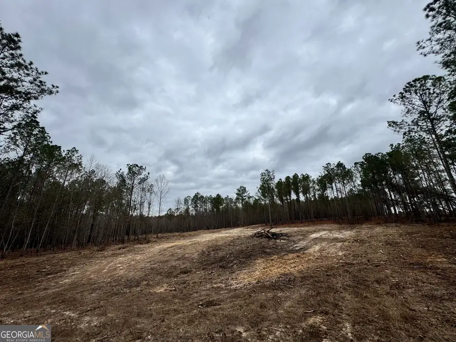 0 Bastonville Road, Gibson, GA 30810 - Image #2