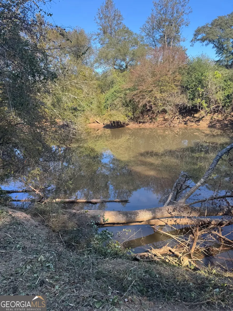 0 County Road 432, Woodland, AL 36280 - Image #2