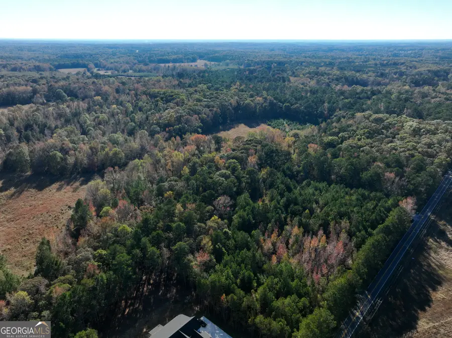 BETWEEN 366 & 4 Antioch Road, Fayetteville, GA 30215 - Image #3