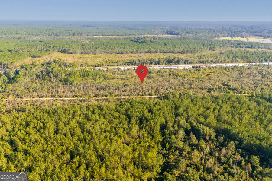 0 Odum Road, Millwood, GA 31552 - Image #3