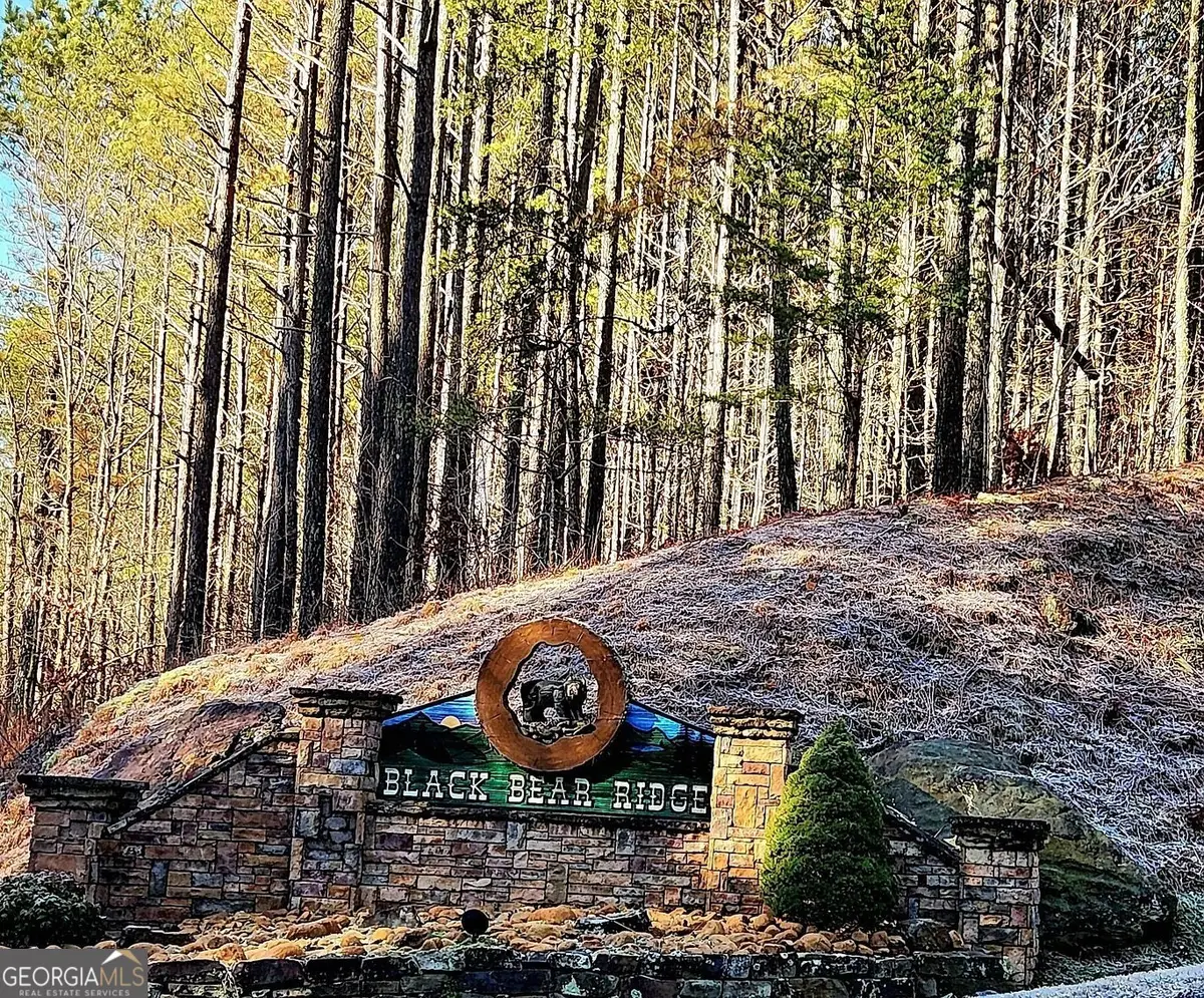 37 Black Bear Ridge Road, Ellijay, GA 30536 - #1