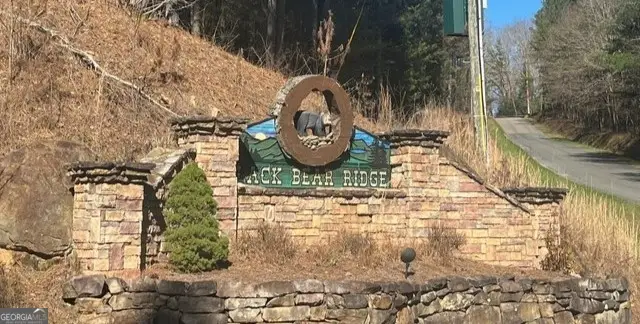 37 Black Bear Ridge Road, Ellijay, GA 30536 - #3