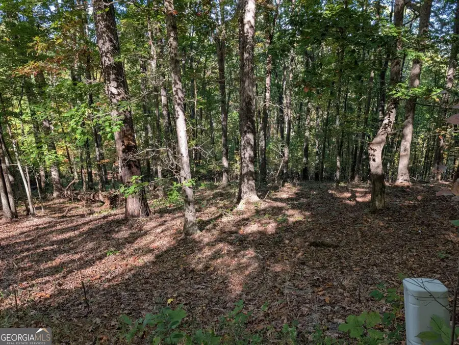 LOT 30 Rocky Knob Drive, Young Harris, GA 30582 - Image #2