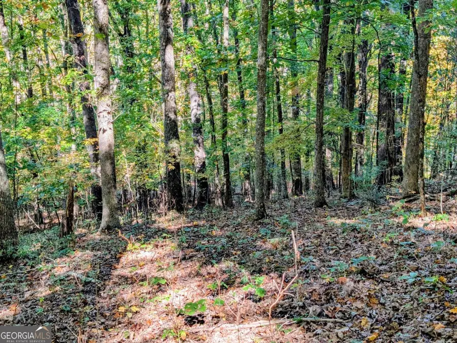 LOT 30 Rocky Knob Drive, Young Harris, GA 30582 - Image #3