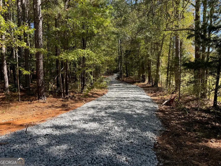 6.5 ACRES Williams Mill Road, Zebulon, GA 30295 - Image #2