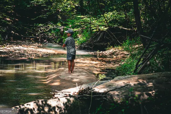 0 County Line Road, Talbotton, GA 31827