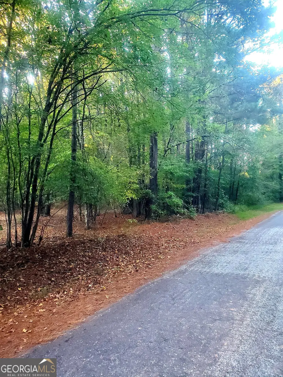 724 Sunset Drive, Locust Grove, GA 30248 - Image #2