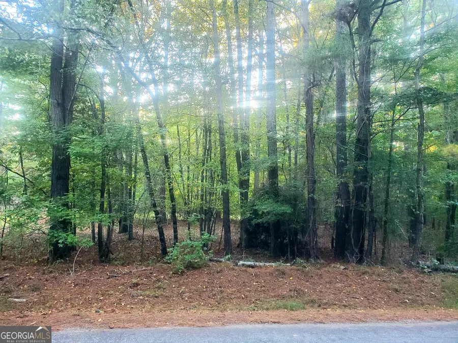 724 Sunset Drive, Locust Grove, GA 30248 - Image #3