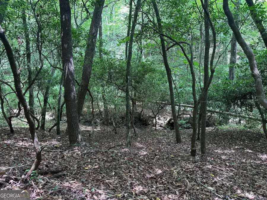 LOT 40 Wolf Creek Estates, Mineral Bluff, GA 30559 - Image #3