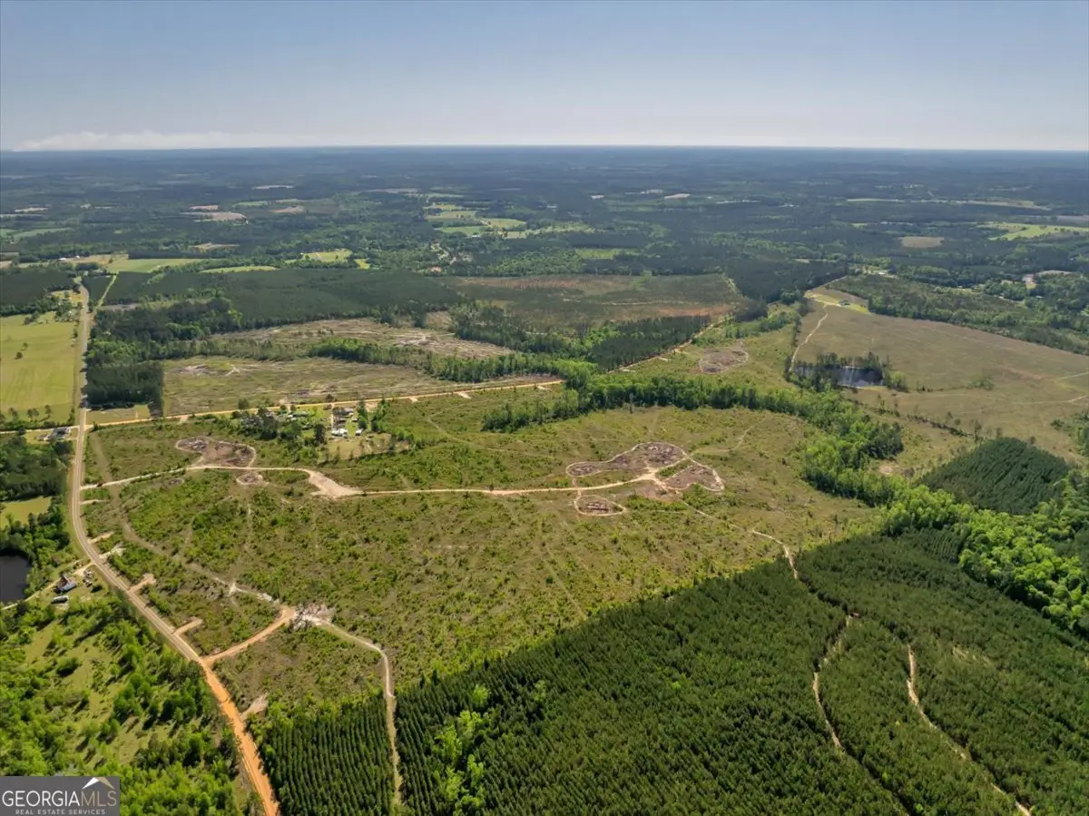 0 Alton Stewart Road, East Dublin, GA 31027 - Image #1