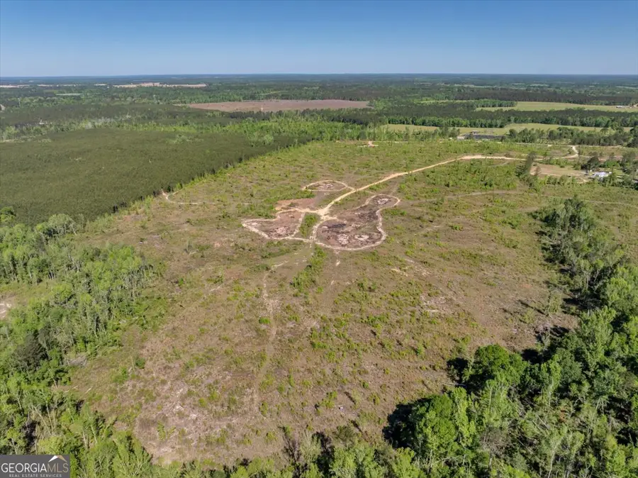 0 Alton Stewart Road, East Dublin, GA 31027 - Image #3