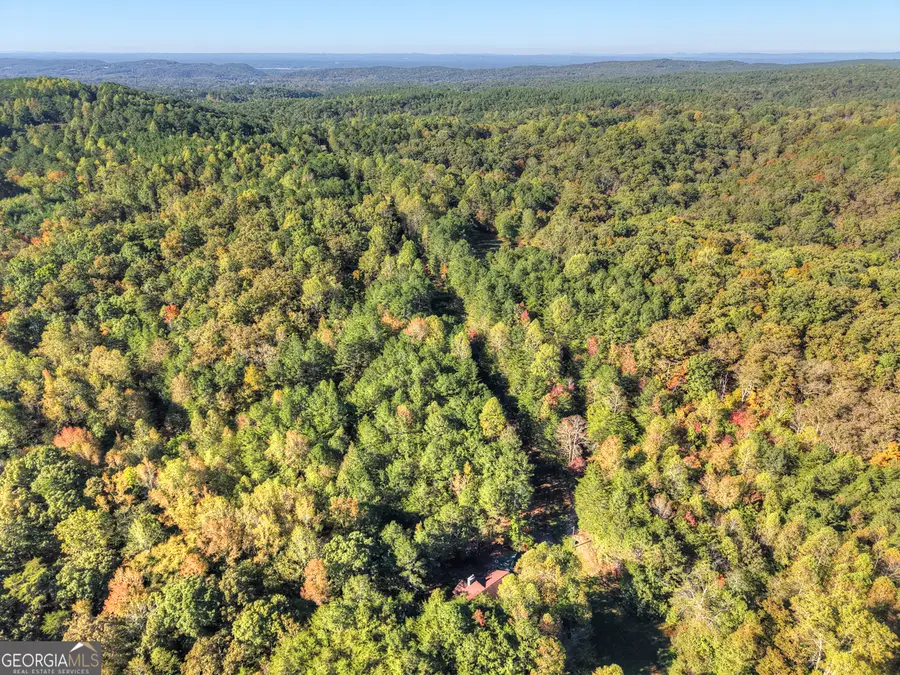 523 Long Branch Road, Ranger, GA 30734 - Image #3