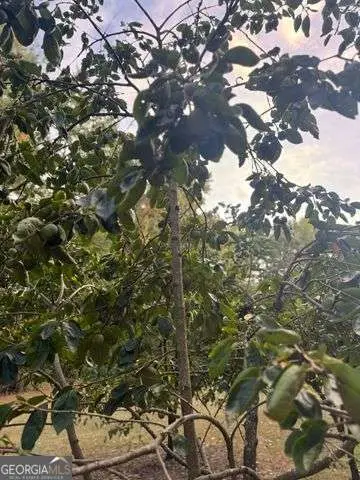 7315 Lee Road, Lithia Springs, GA 30122 - Image #3