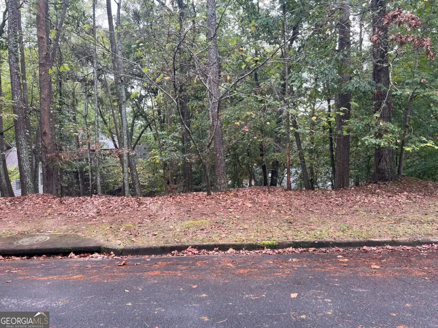 0 Spyglass Bluff Drive, Johns Creek, GA 30022 - Image #3