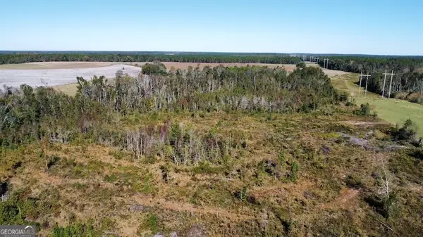 0 Bird Flanders Road, Swainsboro, GA 30401