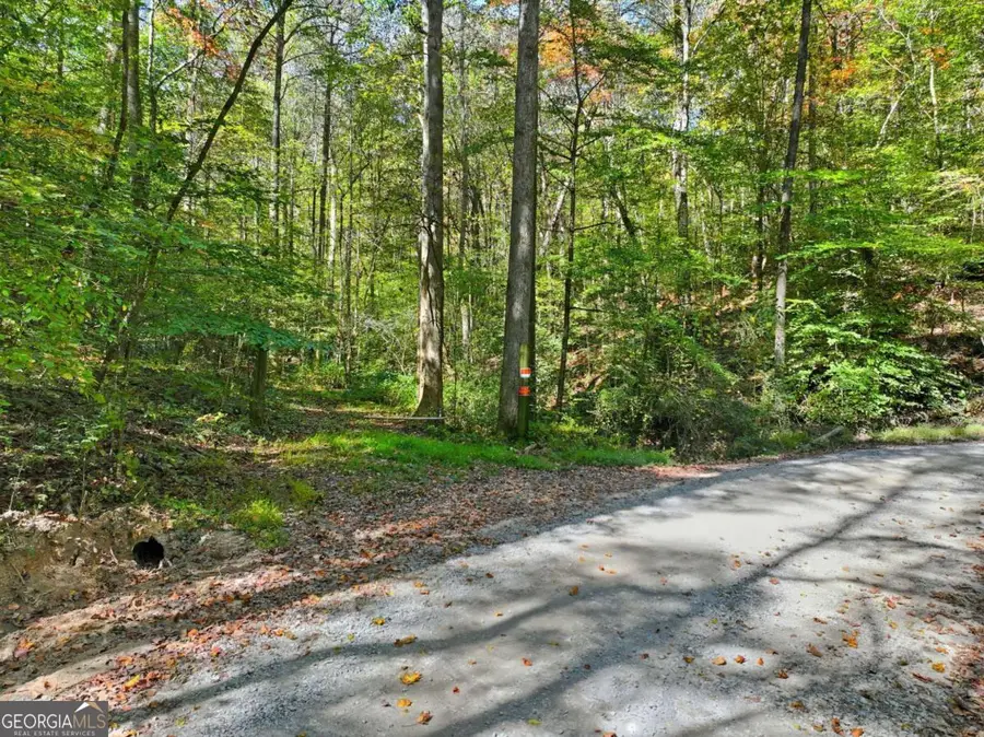 0 Tanglewood Lane, Ellijay, GA 30540 - Image #2