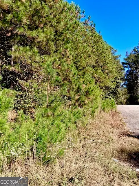 0 Daniel Drive, Stockbridge, GA 30281 - Image #2