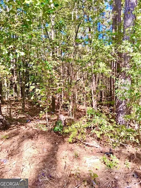 0 Daniel Drive, Stockbridge, GA 30281 - Image #3