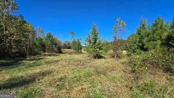 0 Fox Bridge Road, Chatsworth, GA 30705