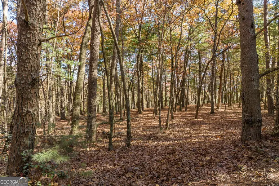 TR 2 Old Anderson Creek, Ellijay, GA 30536 - #2